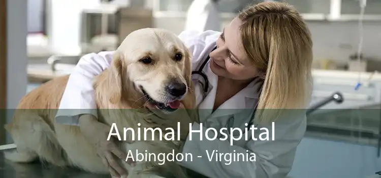 Animal Hospital Abingdon - Virginia