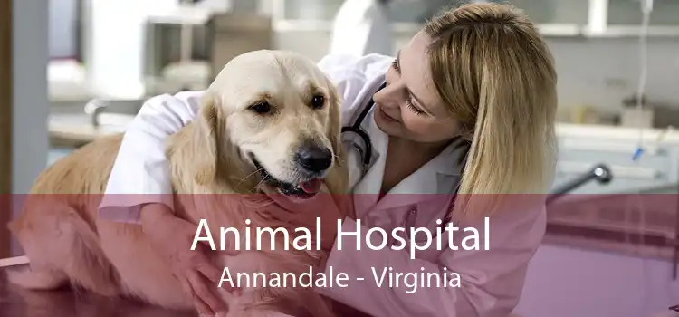 Animal Hospital Annandale - Virginia