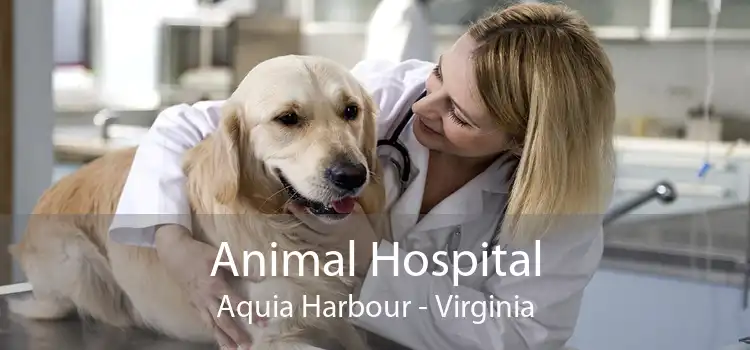 Animal Hospital Aquia Harbour - Virginia