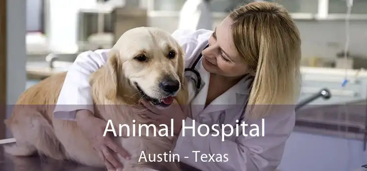 Animal Hospital Austin - Texas