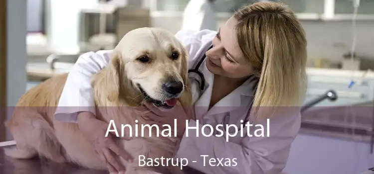 Animal Hospital Bastrup - Texas