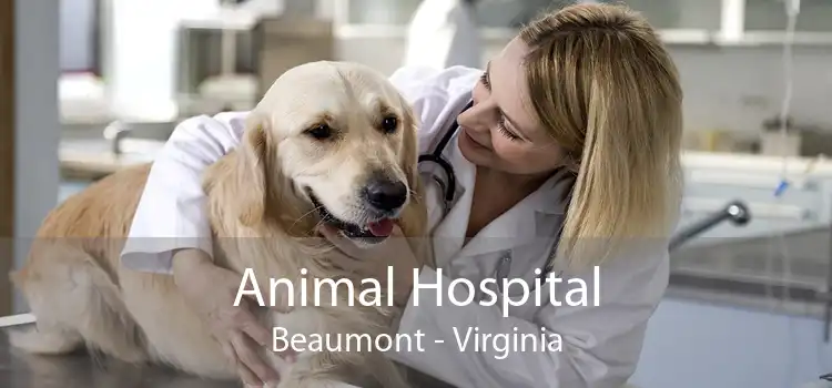 Animal Hospital Beaumont - Virginia