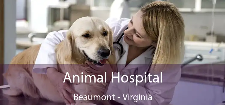 Animal Hospital Beaumont - Virginia