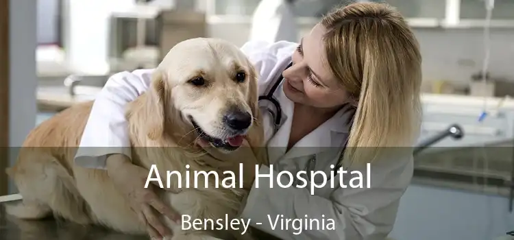 Animal Hospital Bensley - Virginia