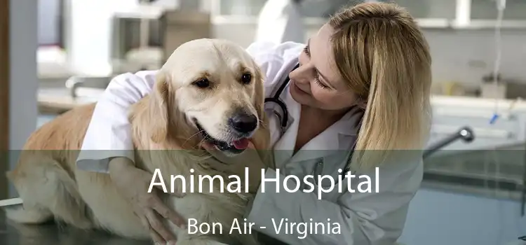 Animal Hospital Bon Air - Virginia