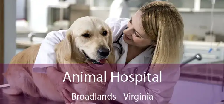 Animal Hospital Broadlands - Virginia