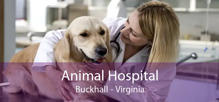 Animal Hospital Buckhall - Virginia