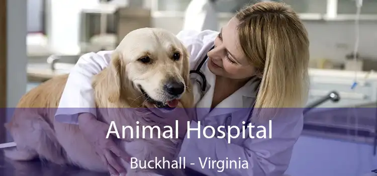 Animal Hospital Buckhall - Virginia