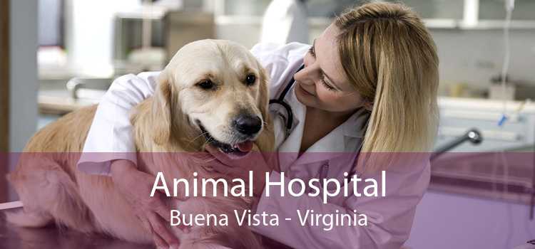 Animal Hospital Buena Vista - Virginia