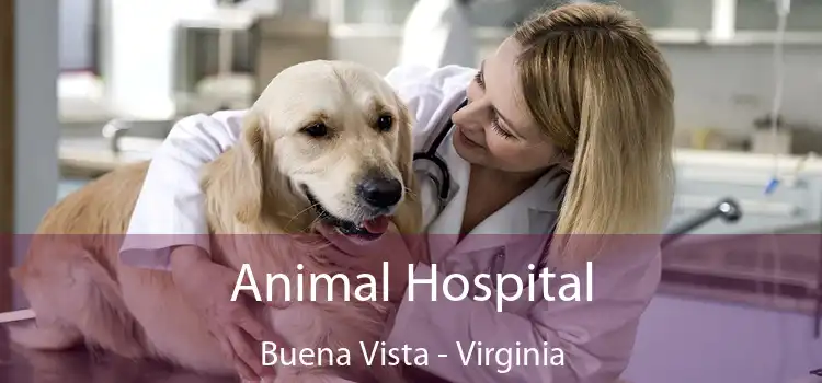 Animal Hospital Buena Vista - Virginia