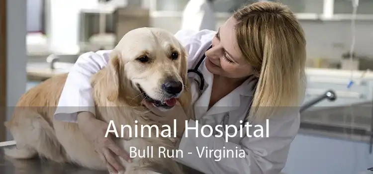 Animal Hospital Bull Run - Virginia