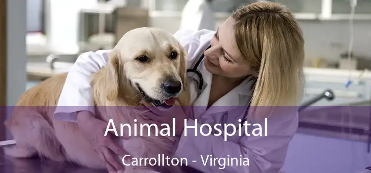 Animal Hospital Carrollton - Virginia