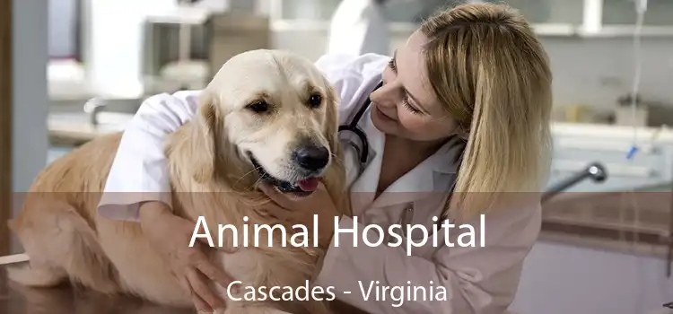 Animal Hospital Cascades - Virginia