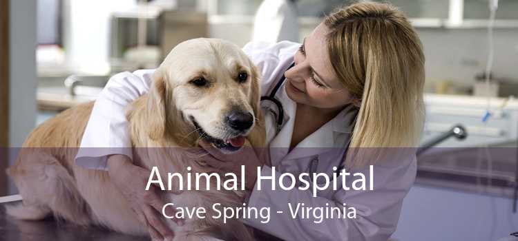Animal Hospital Cave Spring - Virginia