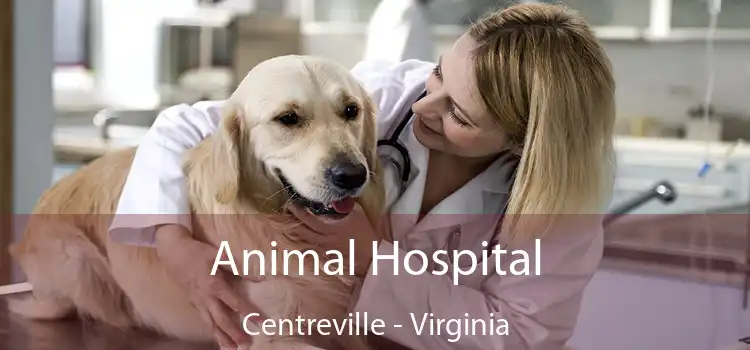 Animal Hospital Centreville - Virginia