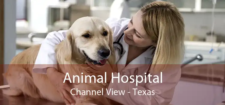 Animal Hospital Channel View - Texas