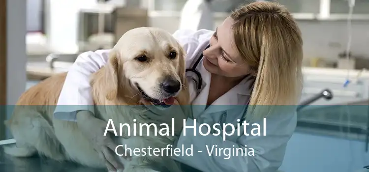 Animal Hospital Chesterfield - Virginia