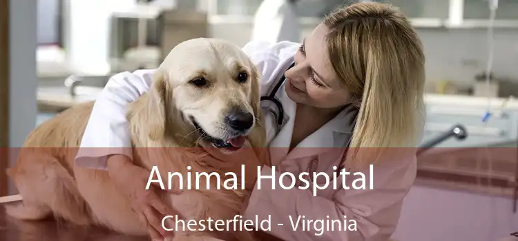 Animal Hospital Chesterfield - Virginia