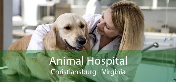 Animal Hospital Christiansburg - Virginia