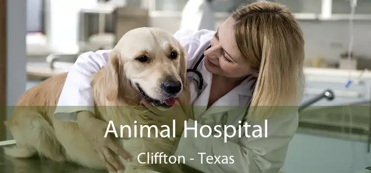 Animal Hospital Cliffton - Texas