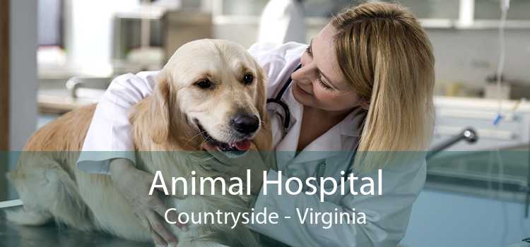 Animal Hospital Countryside - Virginia