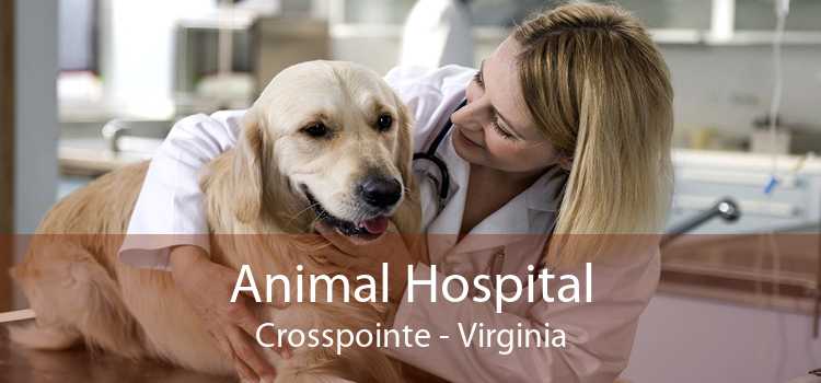 Animal Hospital Crosspointe - Virginia