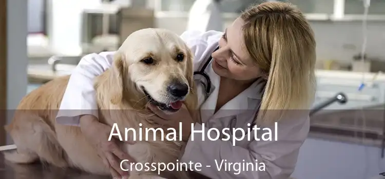 Animal Hospital Crosspointe - Virginia