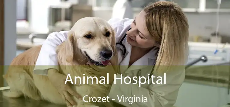 Animal Hospital Crozet - Virginia