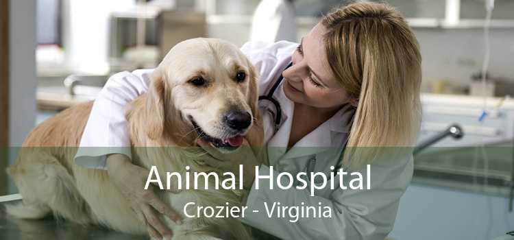 Animal Hospital Crozier - Virginia
