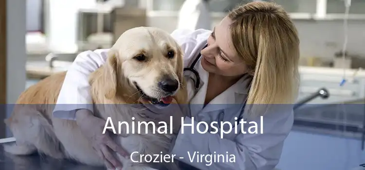 Animal Hospital Crozier - Virginia