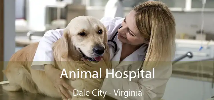 Animal Hospital Dale City - Virginia