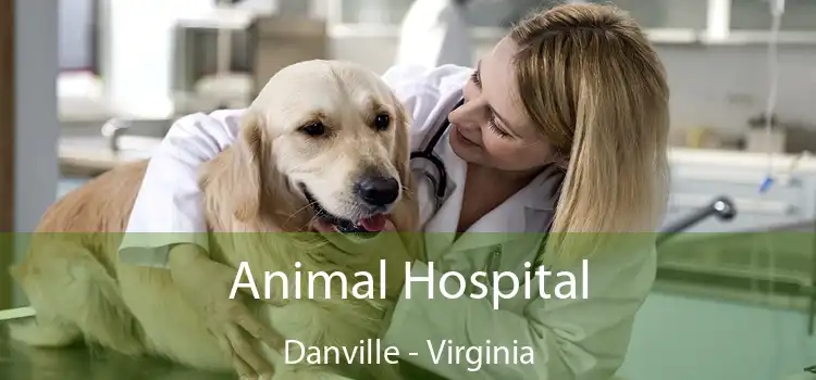 Animal Hospital Danville - Virginia