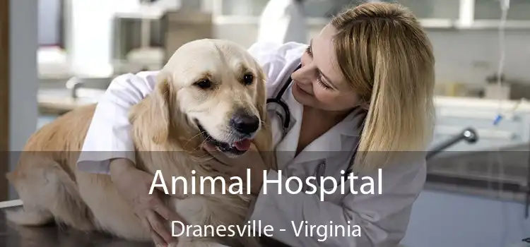 Animal Hospital Dranesville - Virginia