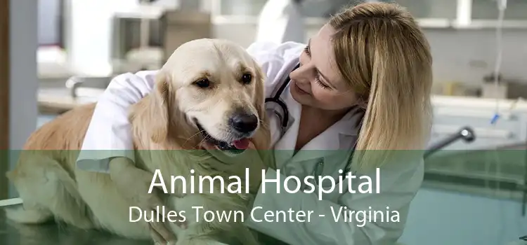Animal Hospital Dulles Town Center - Virginia