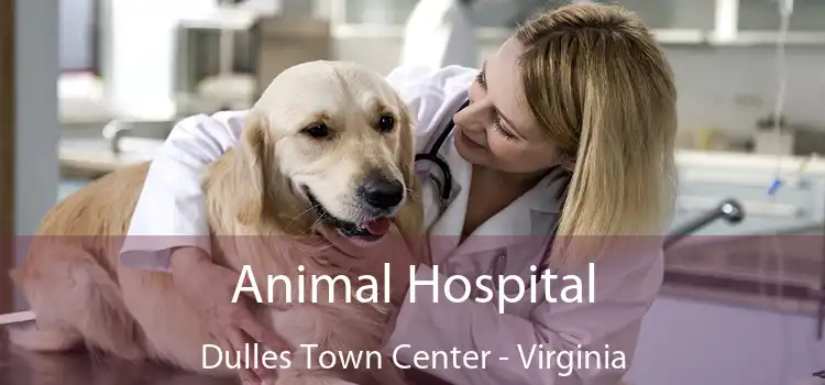 Animal Hospital Dulles Town Center - Virginia