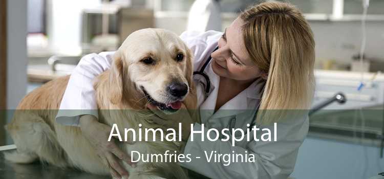 Animal Hospital Dumfries - Virginia