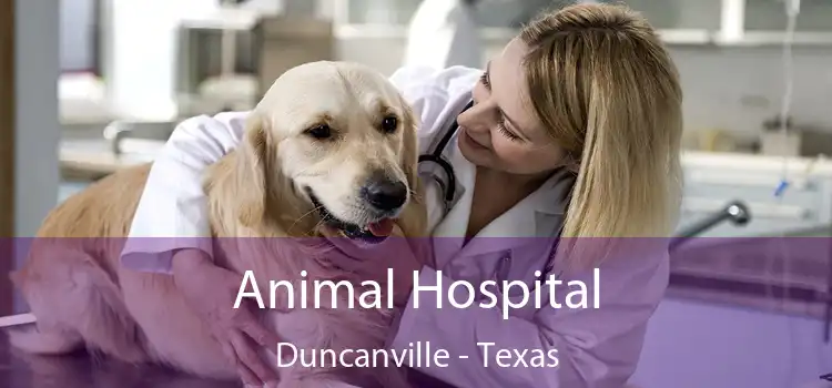 Animal Hospital Duncanville - Texas