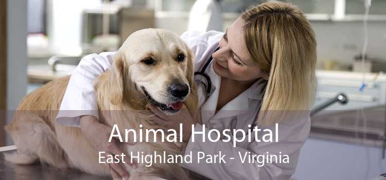 Animal Hospital East Highland Park - Virginia