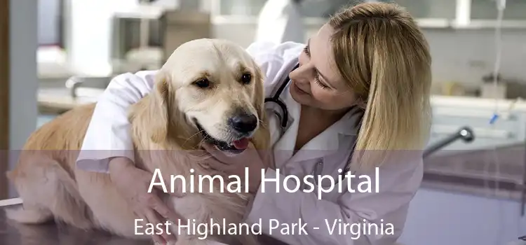 Animal Hospital East Highland Park - Virginia