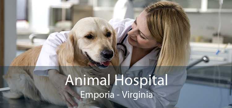 Animal Hospital Emporia - Virginia