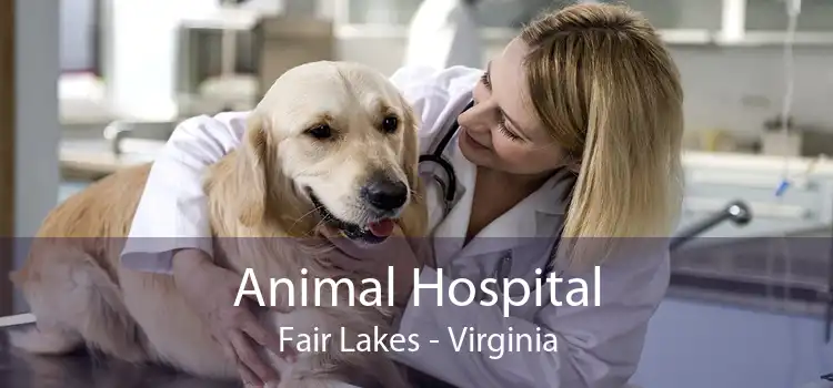 Animal Hospital Fair Lakes - Virginia