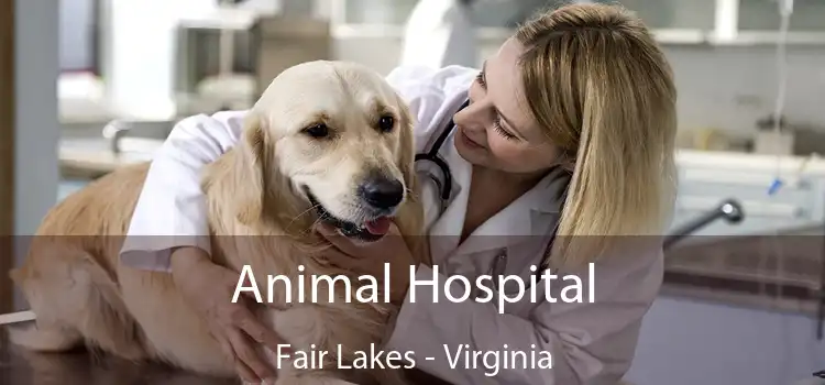 Animal Hospital Fair Lakes - Virginia