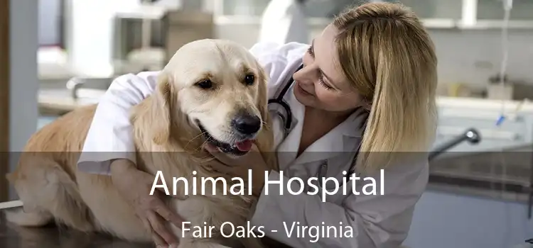 Animal Hospital Fair Oaks - Virginia