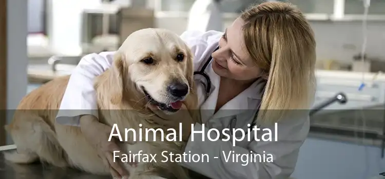 Animal Hospital Fairfax Station - Virginia