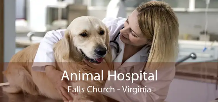 Animal Hospital Falls Church - Virginia