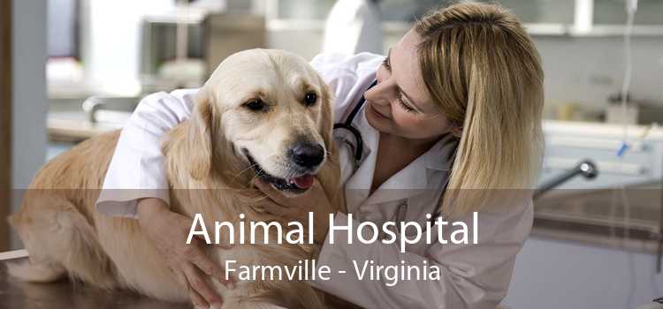 Animal Hospital Farmville - Virginia