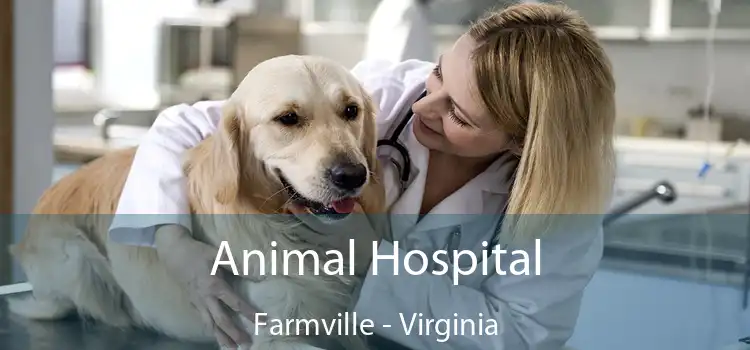 Animal Hospital Farmville - Virginia