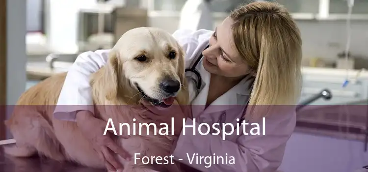 Animal Hospital Forest - Virginia