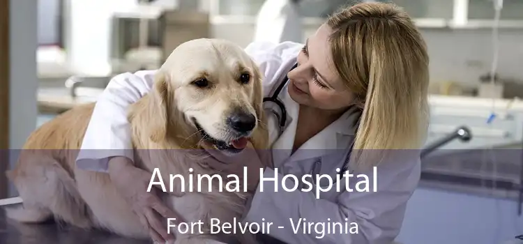 Animal Hospital Fort Belvoir - Virginia