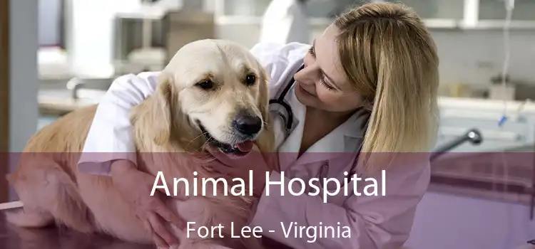 Animal Hospital Fort Lee - Virginia